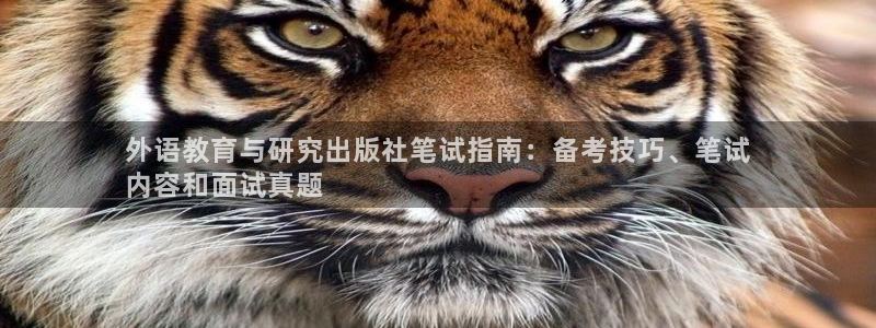 九游会j9备用网址